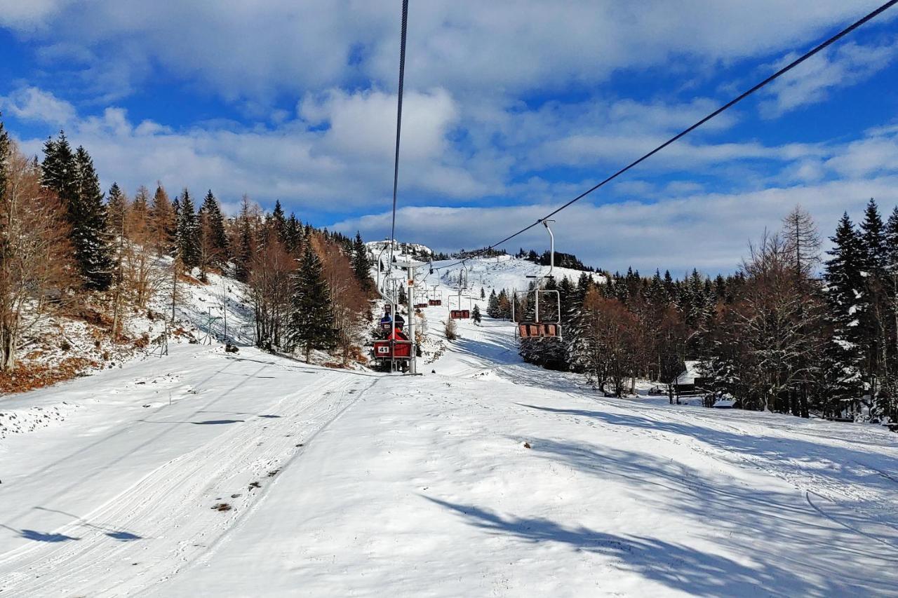 Вилла Chalet Gorenjka - Velika Planina Стаховица Экстерьер фото