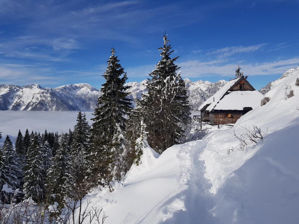 Вилла Chalet Gorenjka - Velika Planina Стаховица Экстерьер фото