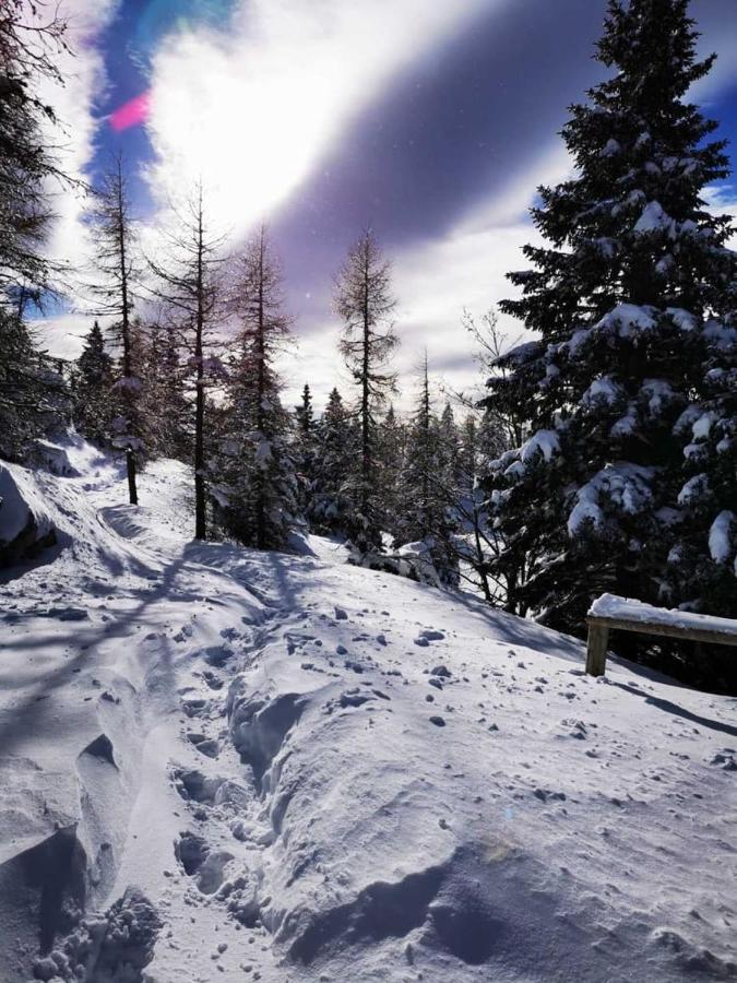 Вилла Chalet Gorenjka - Velika Planina Стаховица Экстерьер фото