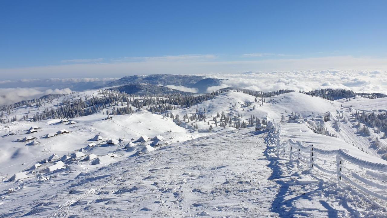 Вилла Chalet Gorenjka - Velika Planina Стаховица Экстерьер фото