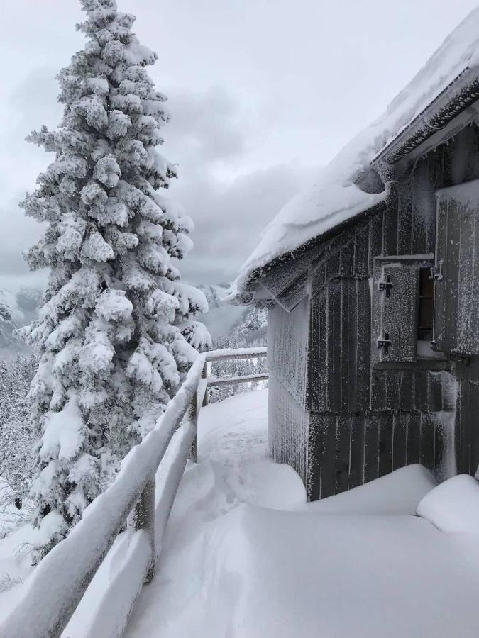 Вилла Chalet Gorenjka - Velika Planina Стаховица Экстерьер фото