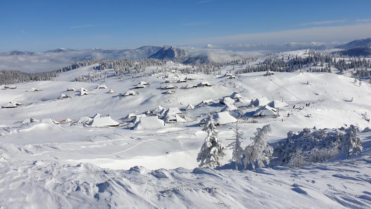 Вилла Chalet Gorenjka - Velika Planina Стаховица Экстерьер фото