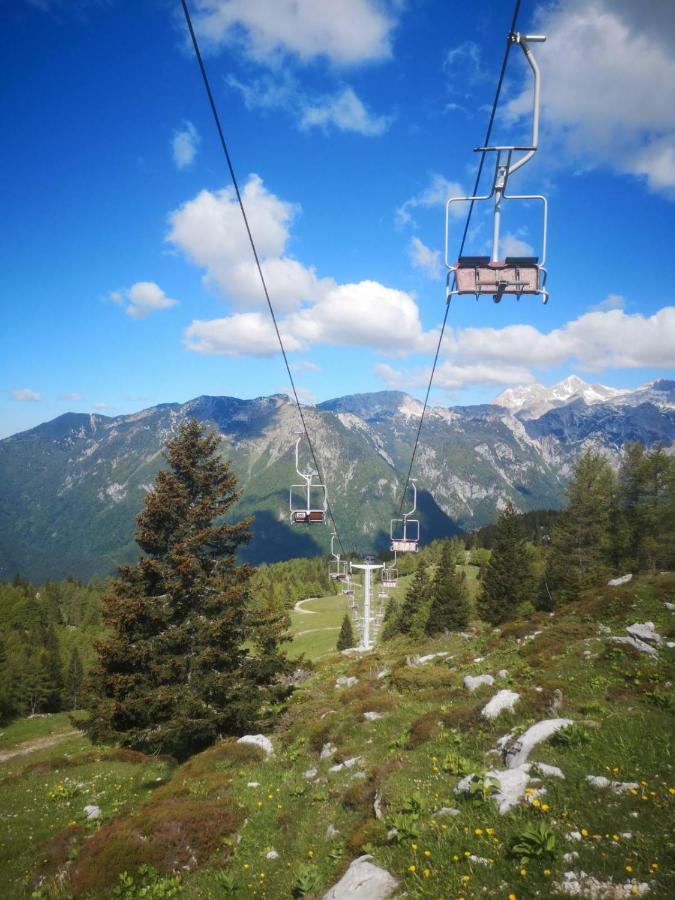 Вилла Chalet Gorenjka - Velika Planina Стаховица Экстерьер фото