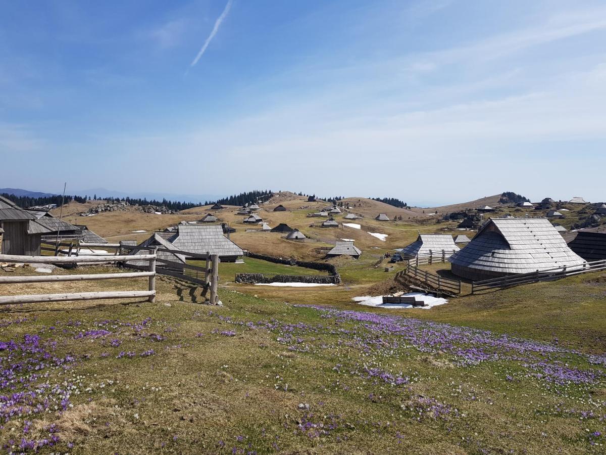 Вилла Chalet Gorenjka - Velika Planina Стаховица Экстерьер фото