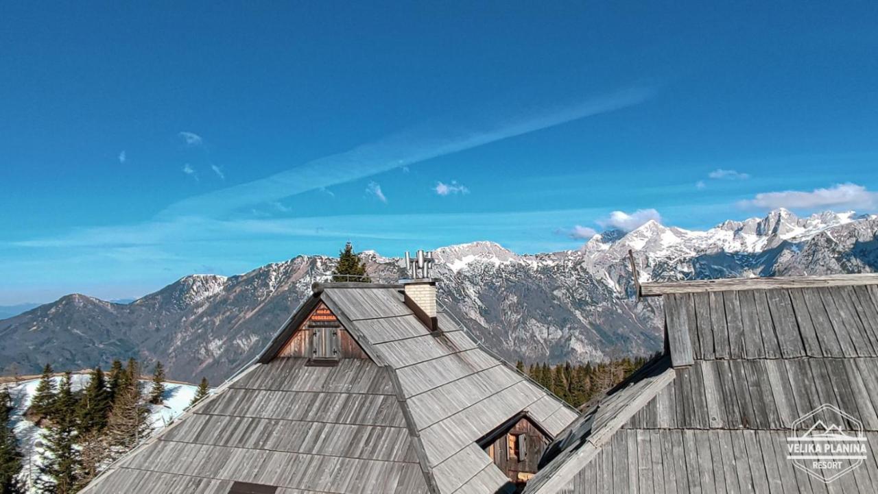 Вилла Chalet Gorenjka - Velika Planina Стаховица Экстерьер фото