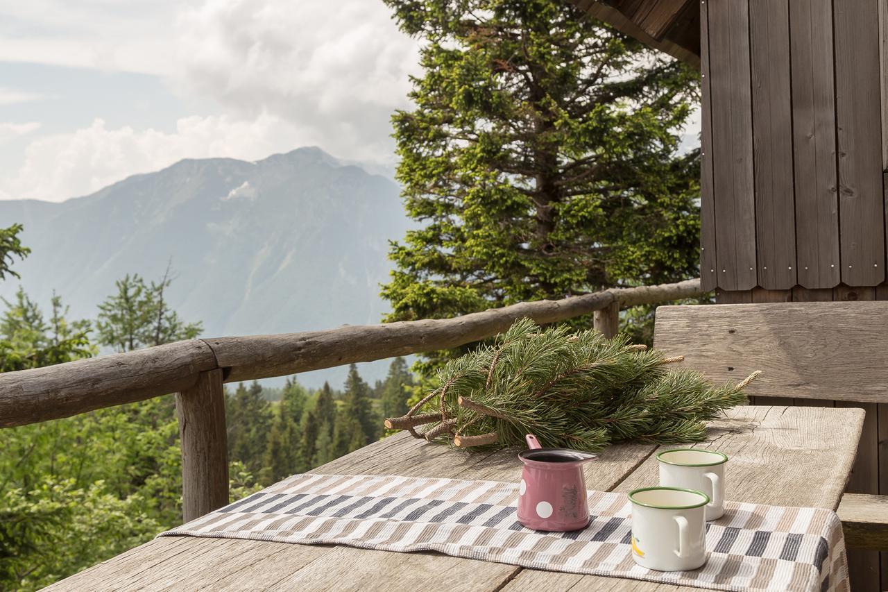 Вилла Chalet Gorenjka - Velika Planina Стаховица Экстерьер фото