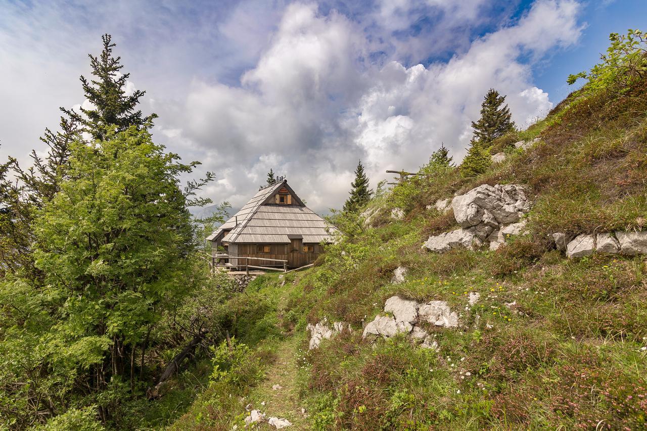 Вилла Chalet Gorenjka - Velika Planina Стаховица Экстерьер фото