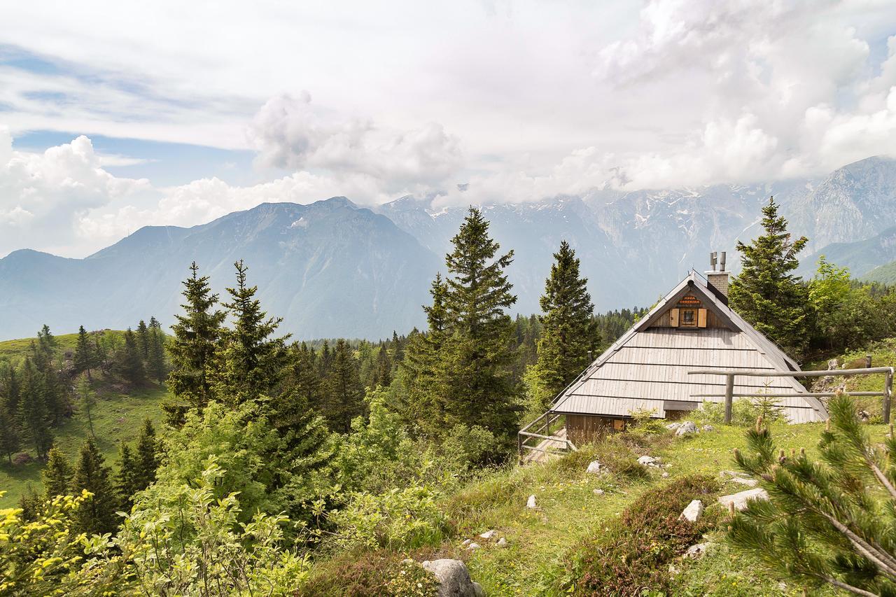 Вилла Chalet Gorenjka - Velika Planina Стаховица Экстерьер фото